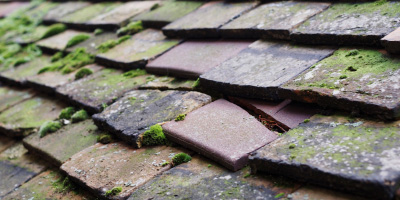 Scrubwood roof repair costs
